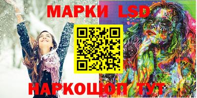 индика Кингисепп
