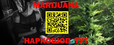 индика Кинель