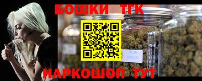 индика Кингисепп