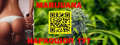 индика Кинель