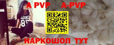 индика Кингисепп