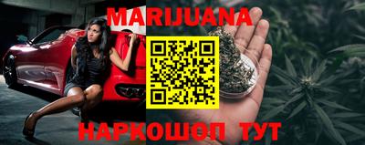 индика Кингисепп