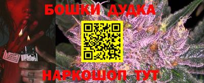 индика Кинель