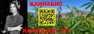 индика Кингисепп