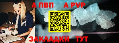 индика Кингисепп