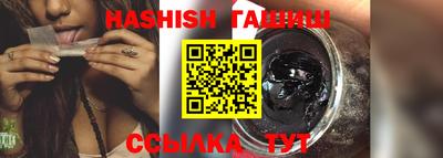 индика Кингисепп
