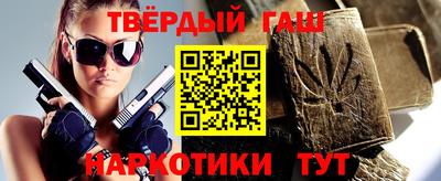 индика Кингисепп