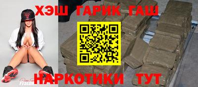 индика Кингисепп